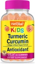 WellYeah Turmeric Curcumin with Black Pepper Gummies for Kids - Natural Immune Support, Joint and Muscle Health, Digestive Health, and Brain Function - Non-GMO, Vegan, Gluten-Free - 60 Count