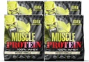 COLOSSAL LABS Muscle Whey Protein Flavored Protein Powder, 25,000mg Amino Acids/Serving, Cold Filtered(Packaging May Vary) (20 Pound (Pack of 4), Vanilla)