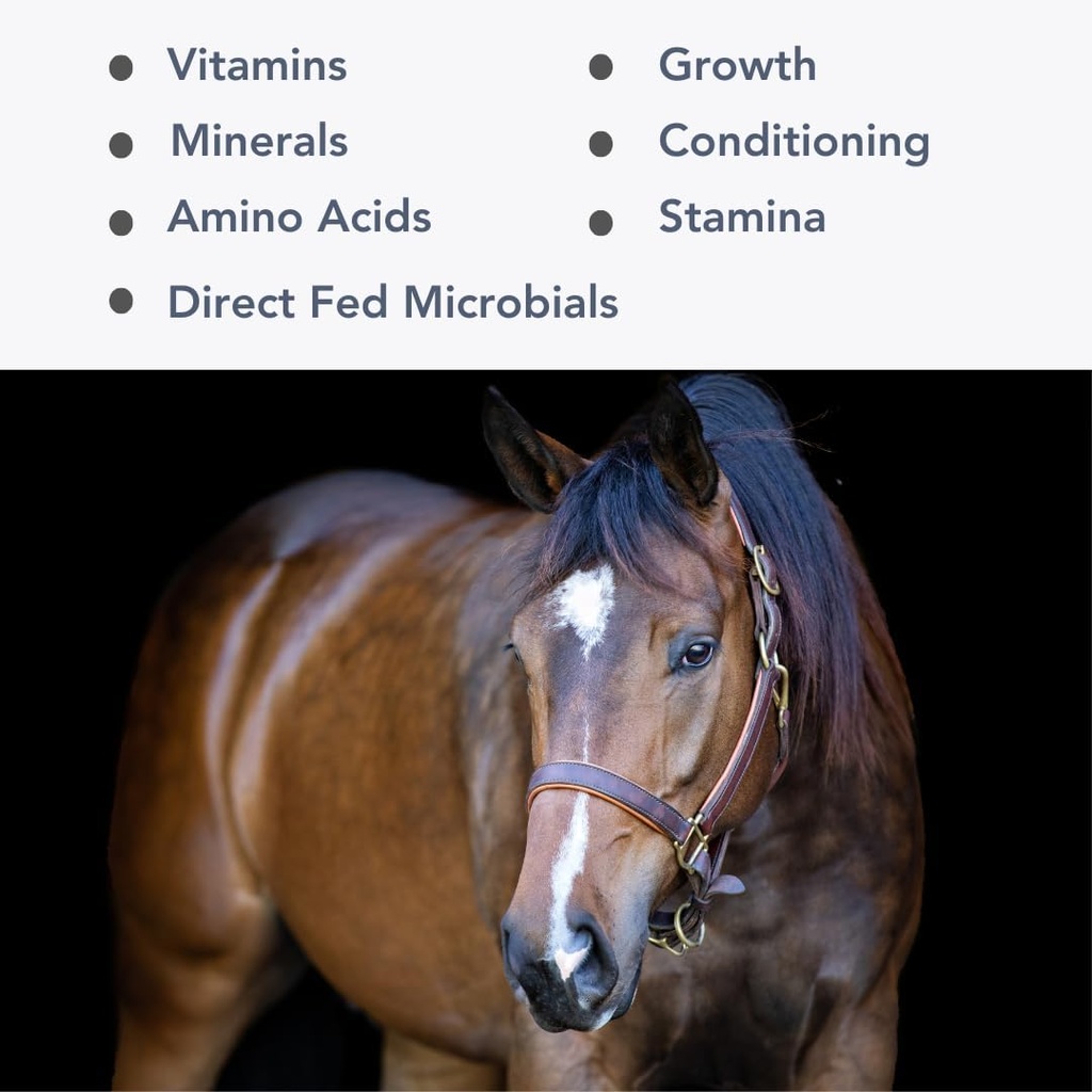 Mega-Mag (35lb) Balanced Multi Vitamin/Mineral Supplement for Alfalfa Hay Diets…