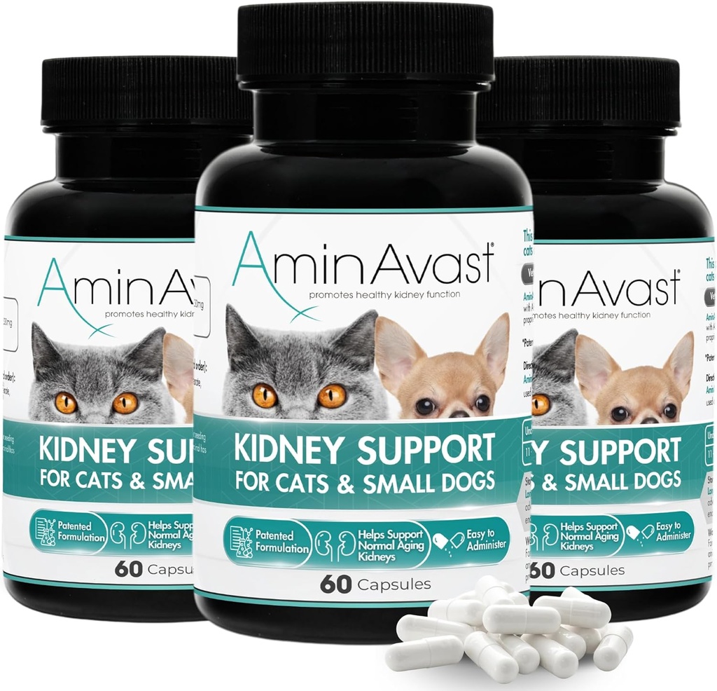 AminAvast Kidney Support Supplement for Cats and Small Dogs, 300mg 3-Pack - Promotes Natural Kidney Function - Aids in Health and Vitality of Aging Kidneys - Easily Administered - 60 Sprinkle Capsules