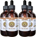 Alkanet Liquid Extract, Alkanet (Alkanna Tinctoria) Root Tincture Herbal Supplement 4x4 oz