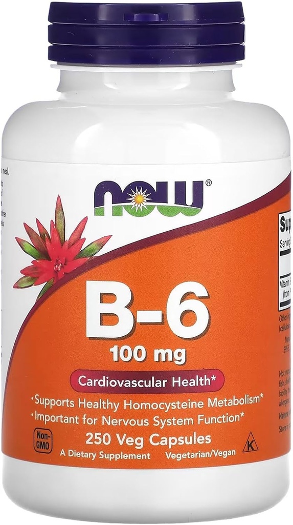 Now Foods Vitamin B-6 250 Capsules/100mg
