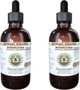 Echinacea Alcohol-Free Liquid Extract, Echinacea (Echinacea Angustifolia) Dried Root Glycerite Hawaii Pharm Natural Herbal Supplement 2x4 oz