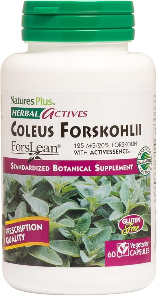 NaturesPlus Herbal Actives Coleus Forskohlii - 60 Vegetarian Capsules - Gluten Free - 60 Servings