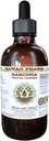Pure Garcinia Alcohol-Free Liquid Extract, Organic Garcinia (Garcinia cambogia) Dried Fruit Glycerite Hawaii Pharm Natural Herbal Supplement 2 fl.oz
