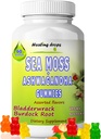 Sea Moss Gummies Ashwagandha with Bladderwrack Burdock Root, Alkaline Keto Vegan Non-GMO Diet, Dairy and Gluten Free – by Healing Drops