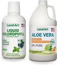 Land Art Aloe Vera Drinkable Gel - Orange Tangerine Flavored - Cold-Processed - Organic Fresh Leaves - 64floz + Liquid Chlorophyll Mint Flavored - Cold Extracted from Wild Non-GMO Alfalfa - 16floz
