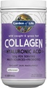 Garden of Life Marine & Grass-Fed Collagen Peptides Powder Supplement (Type I, III) with Probiotics, BCAAs & Hyaluronic Acid for Radiant Hair, Skin & Nails – Unflavored, 20g per Serving, 12 Servings