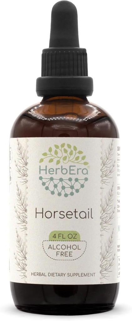 Horsetail B120 Alcohol-Free Herbal Extract Tincture, Concentrated Liquid Drops Natural (Equisetum arvense) 4 fl oz