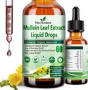 Mullein Drops for Lungs, Organic Mullein Leaf Extract for Lung Detox w. Chlorophyll Elderberry Oregano Oil Resveratrol Mullein Tincture Alcohol Free, Original Flavor, 2 f Fl/Oz