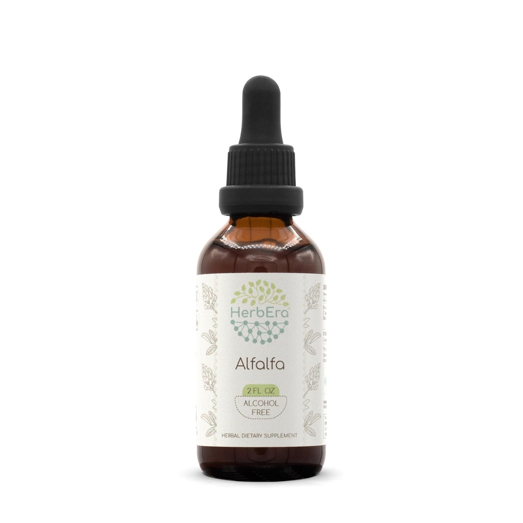 HerbEra Alfalfa Alcohol-Free Herbal Extract Tincture, Concentrated Liquid Drops Natural Alfalfa 2 fl oz