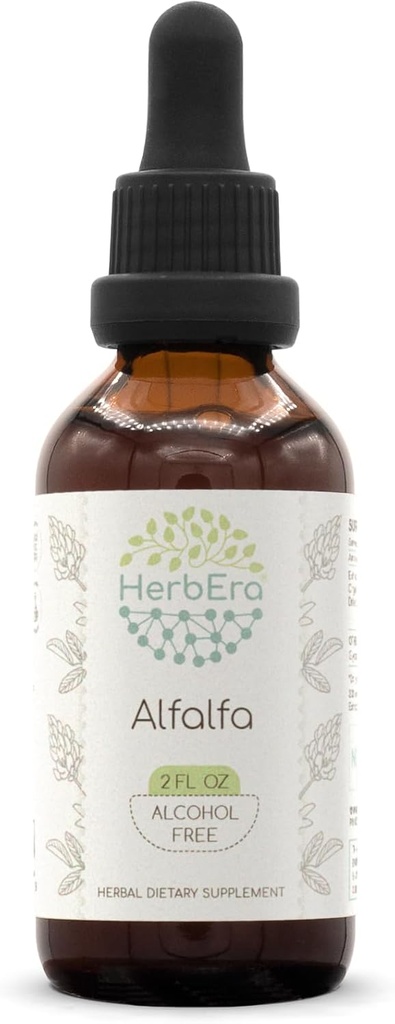 HerbEra Alfalfa B60 Alcohol-Free Herbal Extract Tincture, Concentrated Liquid Drops Natural Alfalfa 2 fl oz