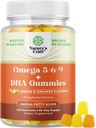 Vegetarian Omega 3 Gummies for Adults - Vegetarian Omega 3 6 9 DHA Gummies for Brain Bone and Heart Health and Joint Support - Burpless Fish Free Plant Based Supplement Men Women