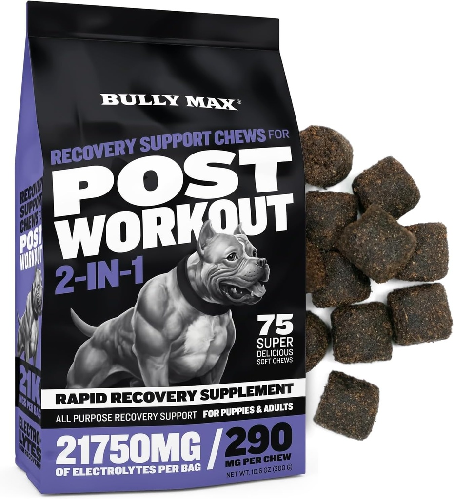 Bully Max 2-in-1 Post-Workout Recovery Support Chews - Dog Vitamins and Food Supplement for Small & Large Breeds - Puppy and Adult Dog Hydration & Electrolyte Replenishment - 75 Soft and Tasty Chews