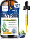 Sea Moss Drops, Irish Liquid Sea Moss Gel Supplement with Black Seed Oil, Shilajit, Elderberry, Burdock Root, Spirulina, Bladderwrack for Digestion Health, Non-GMO, 2 Fl Oz