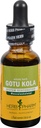 Herb Pharm Certified Organic Gotu Kola Liquid Extract for Musculoskeletal System Support, 1 Fl Oz
