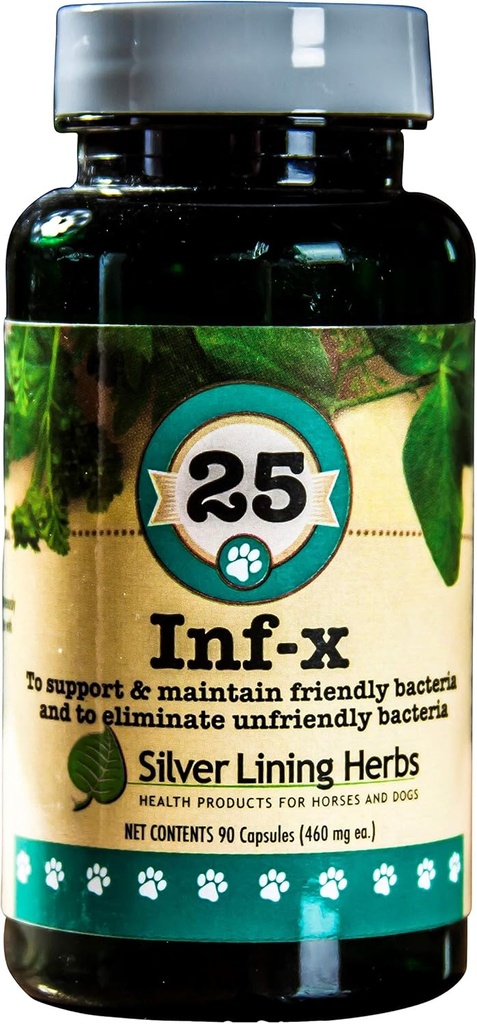 Silver Lining Herbs 25 Canine INF-X - Helps Maintain Healthy Digestion Levels - Natural Support for Normal Detoxification Process - Herbal Health Supplement for Dogs - 90 Capsules