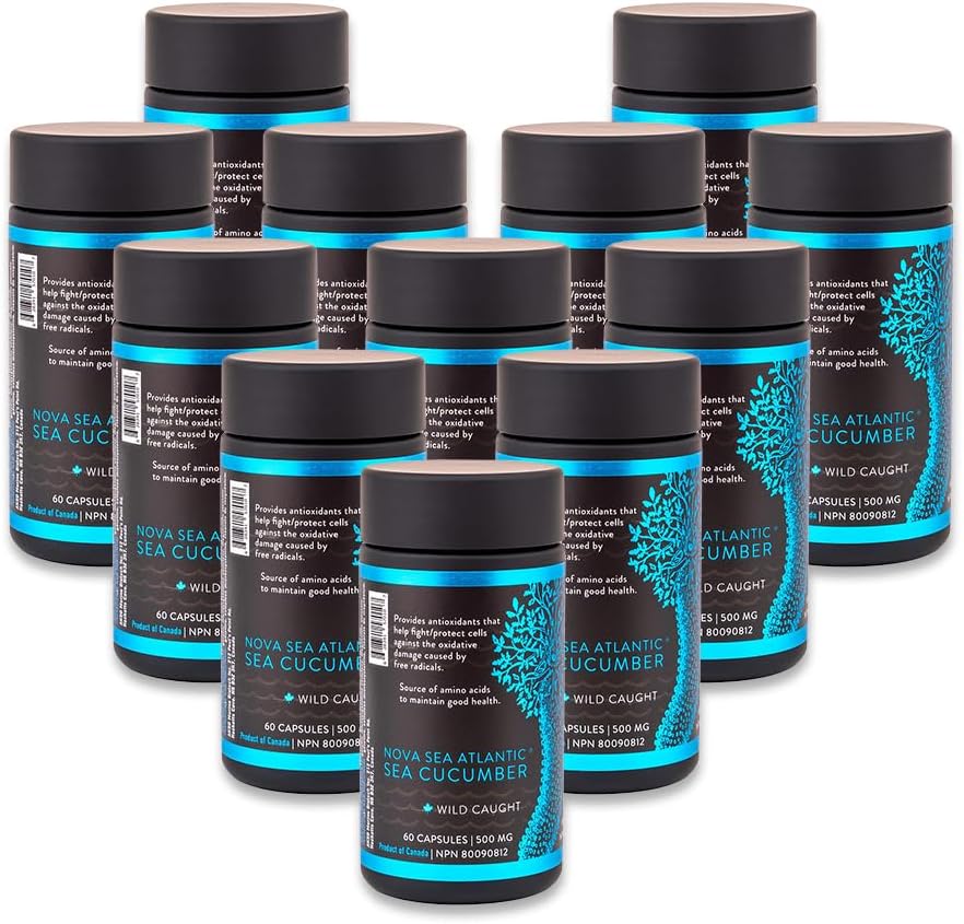 Sea Cucumber Supplement, Wild Caught Sea Cucumber Capsules with Fucosylated Chondroitin Vitamins Mineral — Natural Antioxidant Supplement for Elderly Adult Child (Pack of 12)