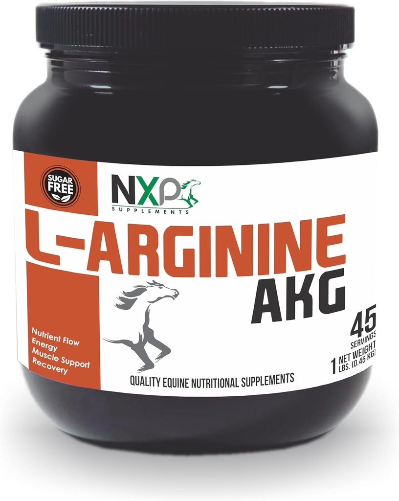 L-Arginine AKG - Boosts Performance, Muscle, Energy & Recovery Nitric Oxide Booster Vasodilation Nutrient Flow Support Supplement for Horses - 1 lb / 45 Servings