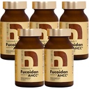 Fucoidan Powered with AHCC® Brown Seaweed Immunity Supplement with High Purity Mekabu Mozuku Agaricus 5 Bottles - 800 Vegetable Capsules