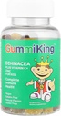 Gummi King Echinacea Plus Vitamin-C Zinc Supplement, Strawberry/Lemon/Orange/Grape/Cherry/Grapefruit, 60 Count