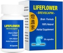 Lifeflower, 100% All Natural, Youthful Brain Herbal Supplement, Support Cerebrovascular System, Improve Memory, 30 Capsules