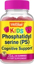 WellYeah Kid's Phosphatidylserine Gummies (100mg) Phosphatidylserine Supplement | Cognitive Support | Raspberry Flavor | Gluten Free, Non GMO | 60 Count