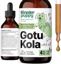 Forever Puppy Gotu Kola Drops for Dogs - Gotu Kola Extract & Centella Asiatica for Brain Health Support - Nutritional Brain Supplement for Dogs of All Breeds & Sizes - 4 oz