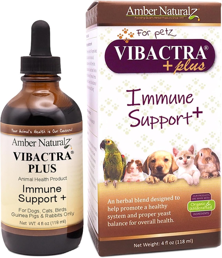 Amber NaturalZ Vibactra Plus Herbal Supplement for Dogs, Cats, Birds, Guinea Pigs, and Rabbits | Herbs for Immune Health and Yeast Balance | 4 Fluid Ounce Glass Bottle