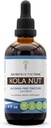 Secrets of the Tribe Kola Nut Tincture Alcohol-Free Extract, Kola nut (Cola Acuminate) Dried Nut (4 FL OZ)