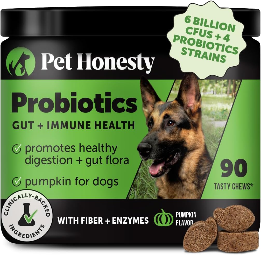 Pet Honesty Probiotics for Dogs for Occasional Diarrhea & Bowel Support, Digestive Enzymes with Prebiotics for Gut Health for Dogs, Immunity Health & Itch Relief (Pumpkin 90 ct)