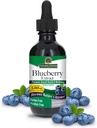 Natures Answer's Alcohol-Free Blueberry Fruit 1000mg 2oz Extract | Eye and Vision Support | High in Antioxidants | Promotes Blood Circulation | Relieves Red and Itchy Eyes | Single Count