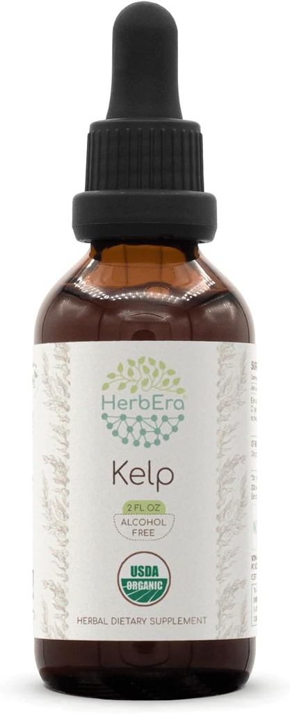 HerbEra Kelp B60 USDA Organic Tincture | Alcohol-Free Extract, High-Potency Herbal Drops | Certified Organic Kelp (Ascophyllum nodosum) Dried Plant (2 oz)