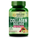 Vlado’s Himalayan Organics Plant Based Organic Collagen Builder Supplement With 8 B Vitamins for Hair and Skin | Collagen Supplement for Women & Men | Collagen Capsules With Biotin & Vitamin C | Glowing and Youthful Skin (90 Capsules)