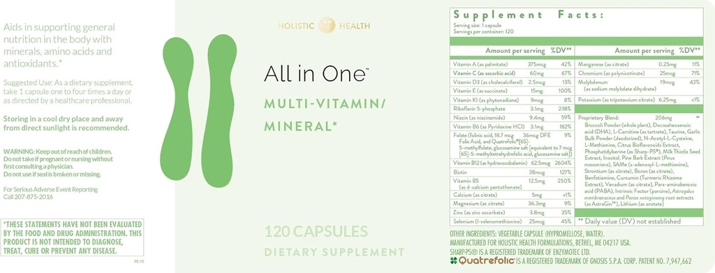 Holistic Health All in ONE Multi Vitamin and Mineral for Antioxidant Boost, Multi Minerals Supplement for Supporting Methylation and Immunity Boost, 120 Capsules