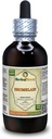Bromelain (Ananas Comosus) Tincture, Dried Powder Liquid Extract (Brand Name: HerbalTerra, Proudly Made in USA) 4 fl.oz (120 ml)