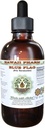 Blue Flag Alcohol-Free Liquid Extract, Organic Blue Flag (Iris versicolor) Dried Root Glycerite Hawaii Pharm Natural Herbal Supplement 2 oz