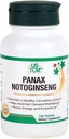 Panax Notoginseng Tablet - Healthy Circulatory System