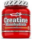 Amix Creatine Monohydrate - Powder 300 Grams