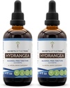 Secrets of the Tribe Hydrangea Tincture Alcohol-Free Liquid Extract, Hydrangea (Hydrangea arborescens) Dried Root (2x4 FL OZ)