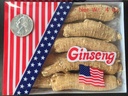 American Ginseng from Wisconsin, Ginseng Root / Ginseng Slice / Ginseng Tea, 4 Ounce (Jumbo Long Roots)