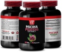 focus and memory supplements - MUCUNA PRURIENS Extract, Velvet Beans, brain support supplements for memory and focus, mucuna pruriens supplements, l-dopa supplements, mucuna extract 1 Bottle 60 Caps