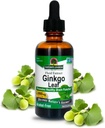 Nature's Answer Alcohol Free Ginkgo Biloba Leaf Extract, 2 Ounce, 2 Count | Supports a Healthy Brain | Promotes Cognitive Function | Increase Mental Clarity | Natural Focus Aid
