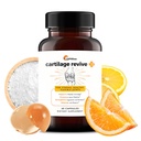 UpWellness Cartilage Revive + Joint Support Supplement for Men and Women with Type II Collagen for Joints - D-Glucosamine Sulfate, MSM, Vitamin D3, Vitamin C and More - 60 Capsules