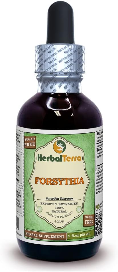 Forsythia (Forsythia Suspensa) Glycerite, Organic Dried Fruits Alcohol-Free Liquid Extract (Brand Name: HerbalTerra, Proudly Made in USA) 2 fl.oz (60 ml)