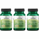 Swanson Lactobacillus Rhamnosus with FOS - 5 Billion CFU - Digestive Health Support with Fructooligosaccharides - Probiotic Support for Gastrointestinal Health* - Vegan - 60 Veggie Caps (3 Pack)