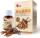 Wild Cordyceps Plus – Tibetan Wild Cordyceps & 5 Cultivated Cordyceps for Immune, Energy & Lung Support – 60 Capsules