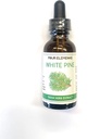 Four Elements 4E White Pine Tincture, 100% Certified Fresh Organic Herb Extract, 1 FL OZ