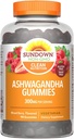 Sundown Ashwagandha Gummies, 90 Count