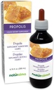 Naturalma Propolis (Propolis) Resin Alcohol-Free Tincture - 6.76 fl oz Liquid Extract in Drops - Dietary Supplement
